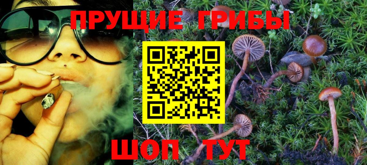 Галлюциногенные грибы Psilocybe  что такое   Галлюциногенные грибы Magic Shrooms  Шахты  Вход с VPN 
