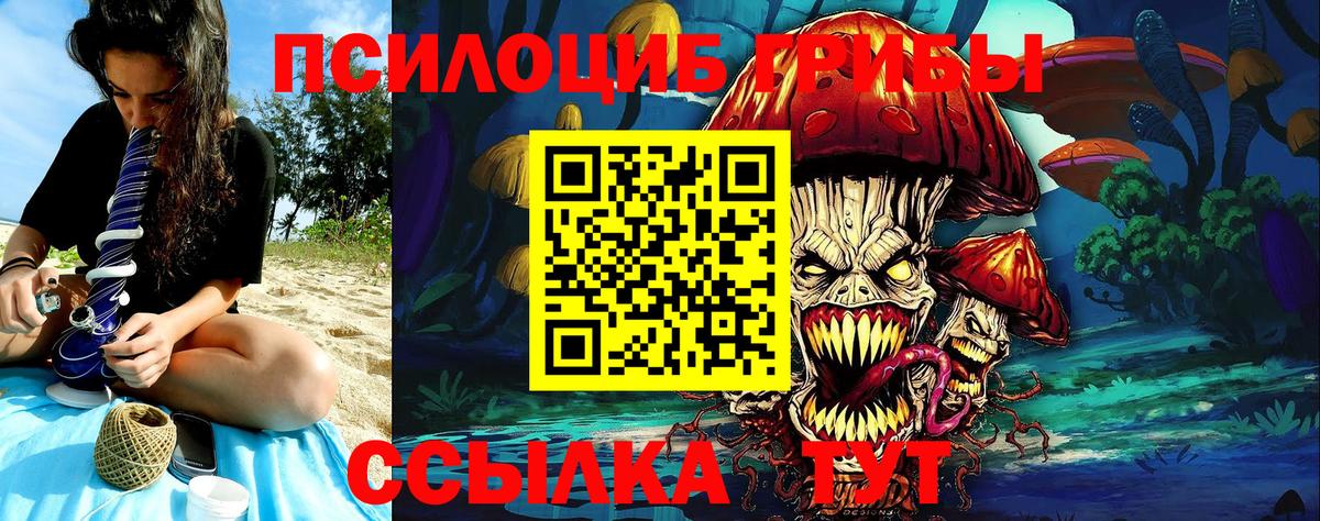 Галлюциногенные грибы прущие грибы Шахты